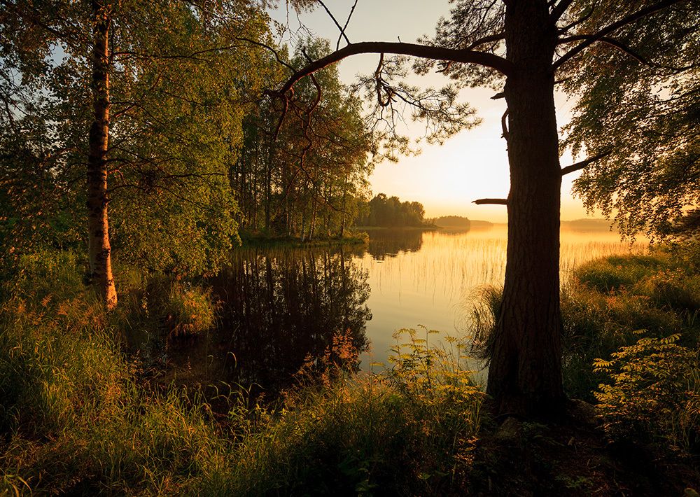 Летним вечером