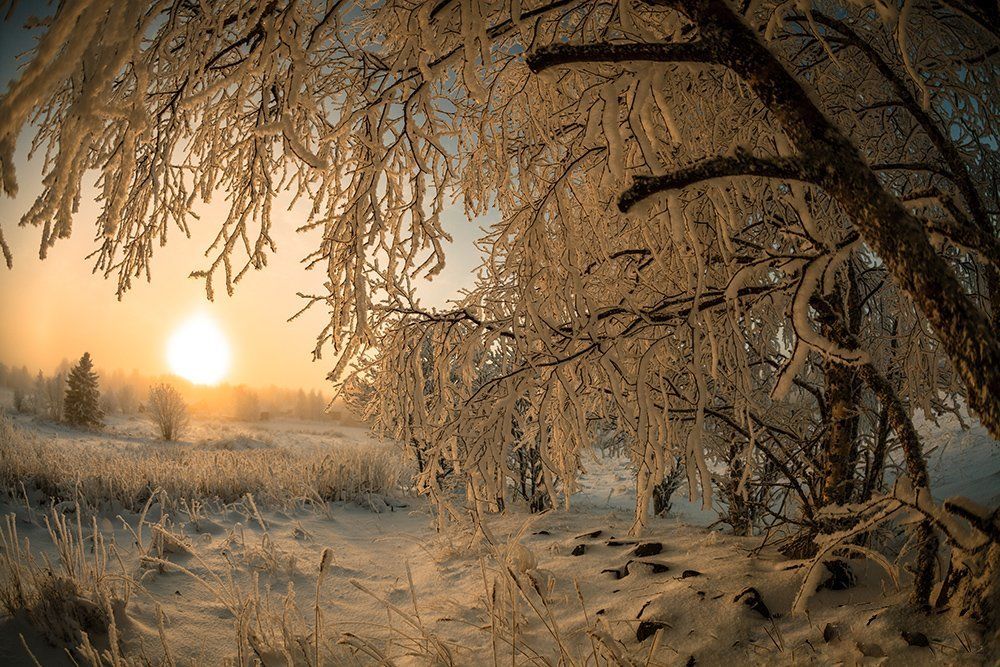 Зимним днём