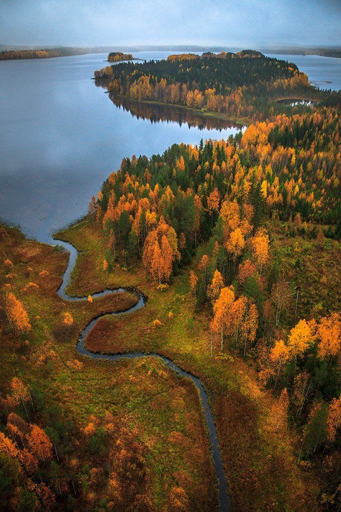 Пролетая над осенью