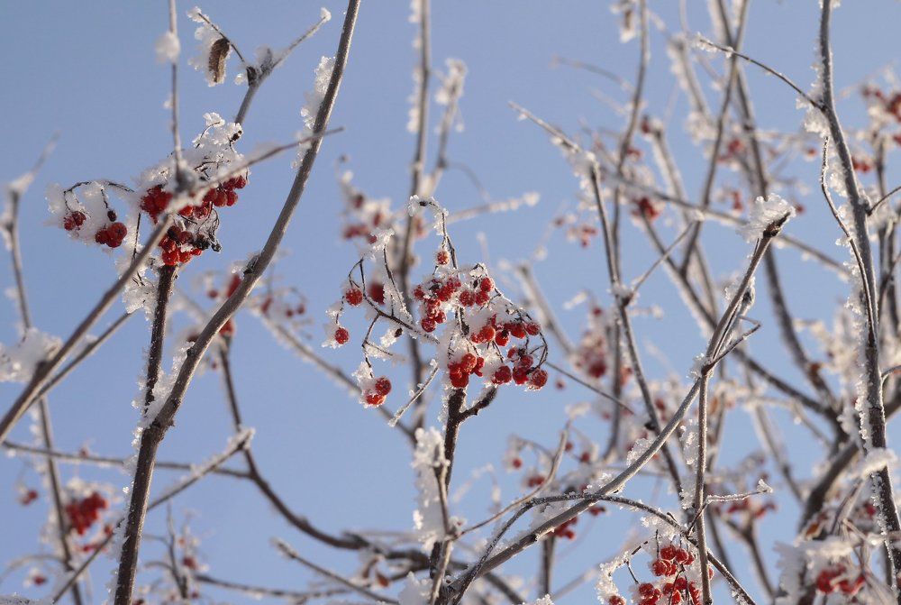Морозный солнечный день