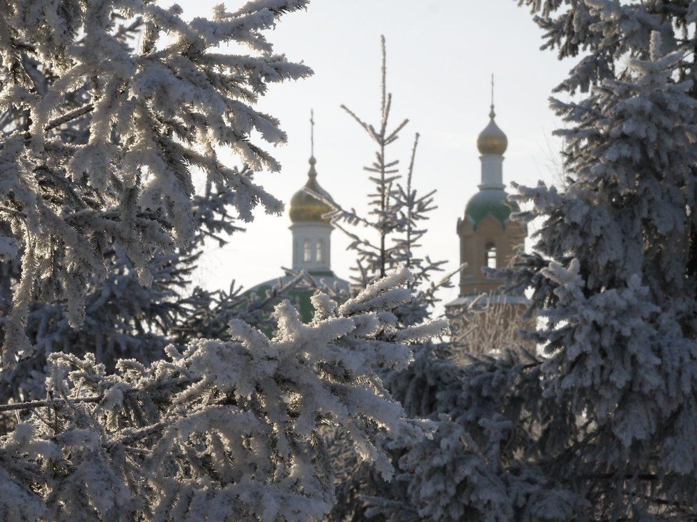 Декабрьский зимний день