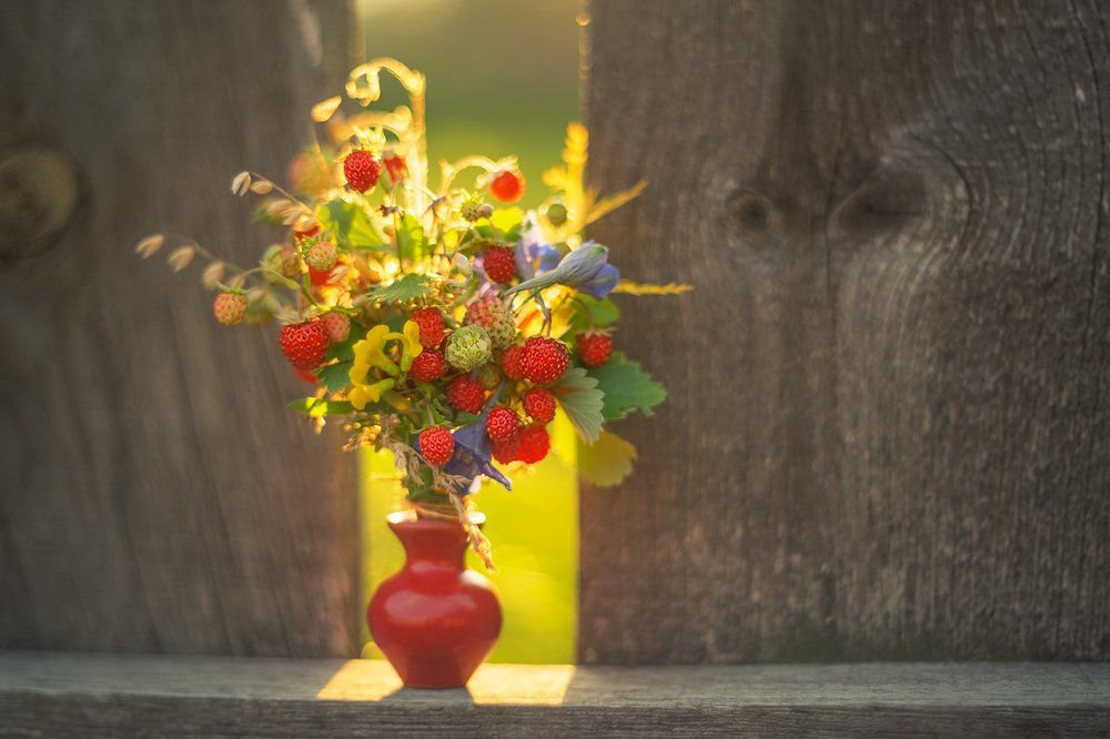 Летний микро-натюрморт