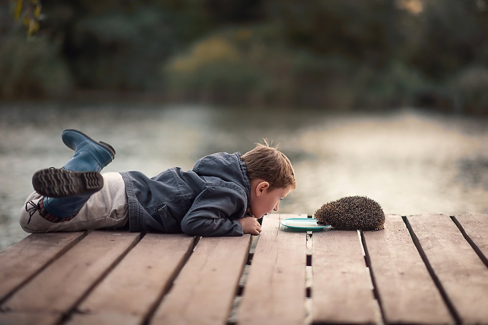 Дачный гость