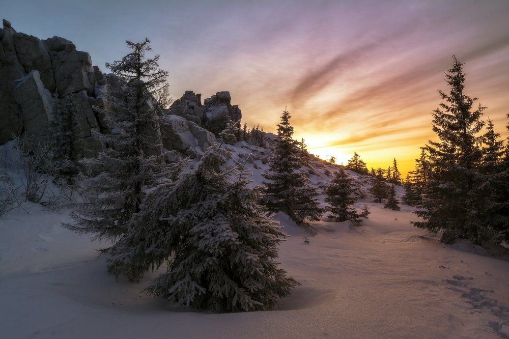 В поисках зимы