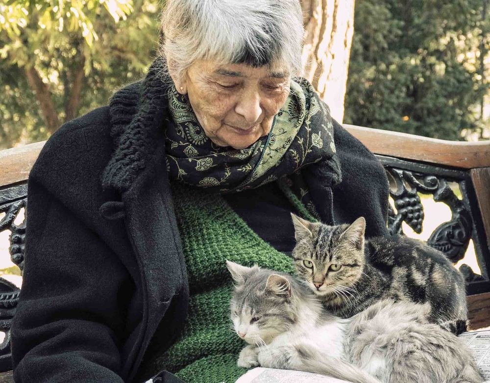 Старушка с кошками