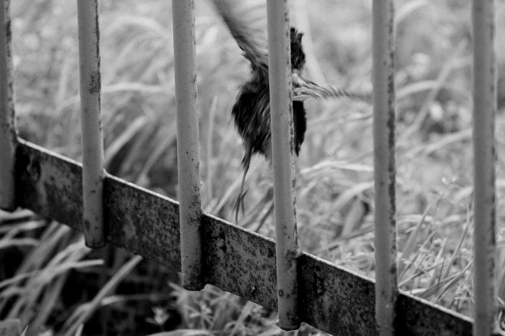 Первый полет