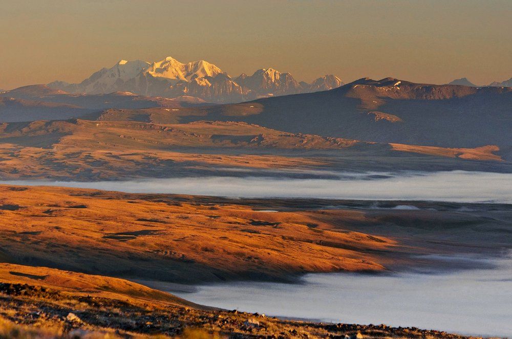 Корона Алтая