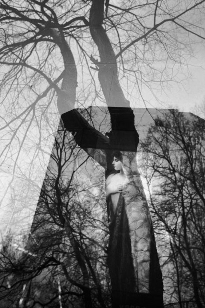 Душа дерева