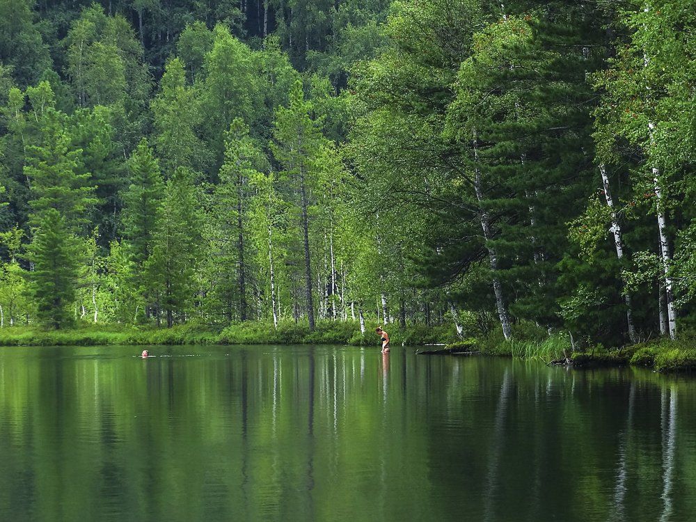 Лесное озеро.