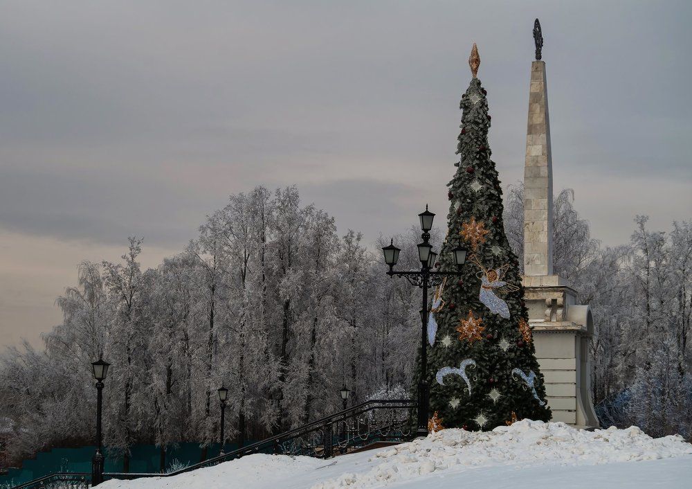 Маленькой ёлочке холодно зимой