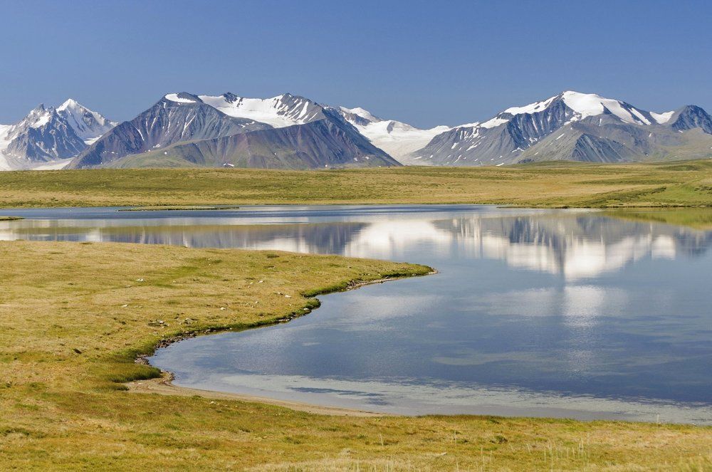 голубоглазый Кальджинколь