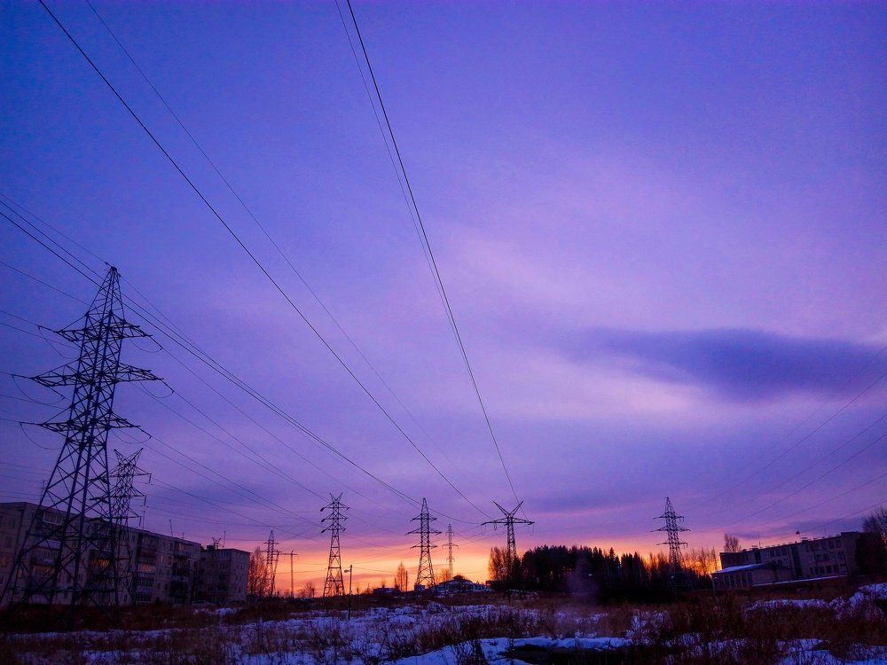 Photo #2230091
