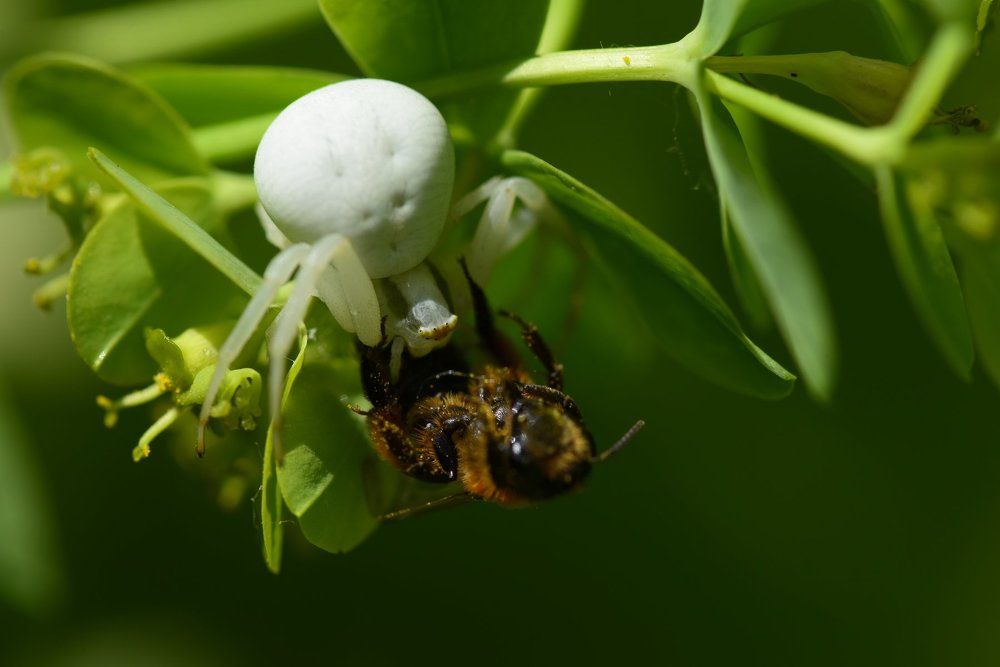 Грустная неизбежность