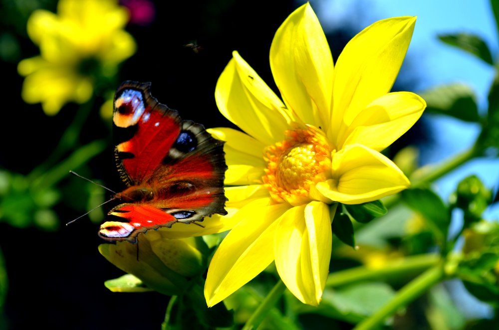 Photograph by Татьяна