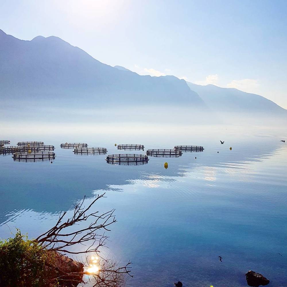 Утро в Боко-Каторском заливе