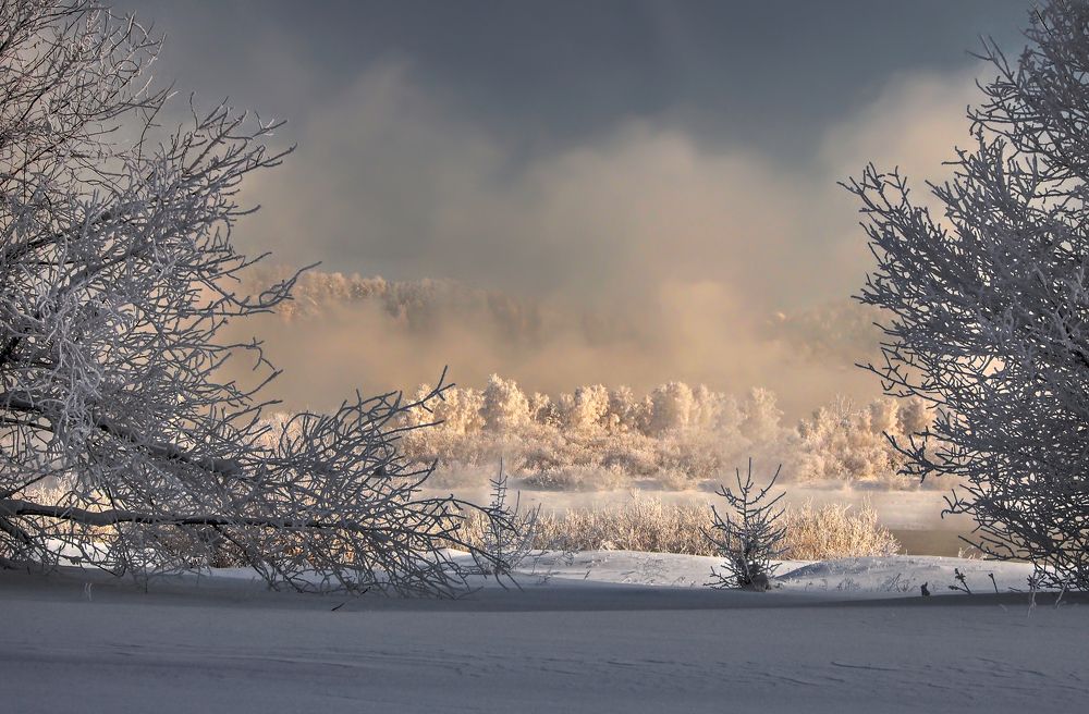На берегу реки холодной