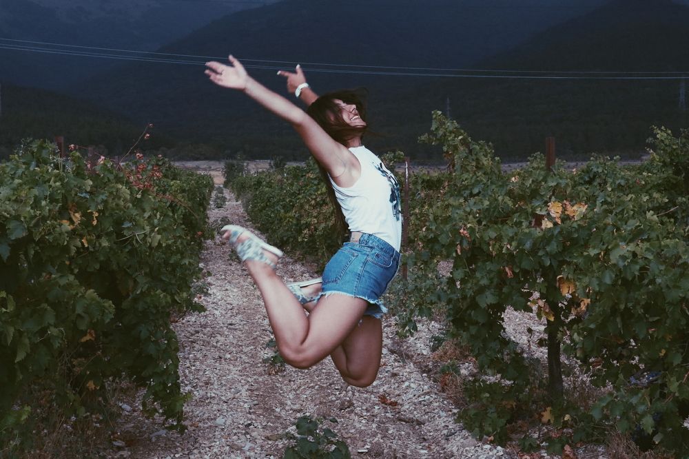 Навстречу мечте