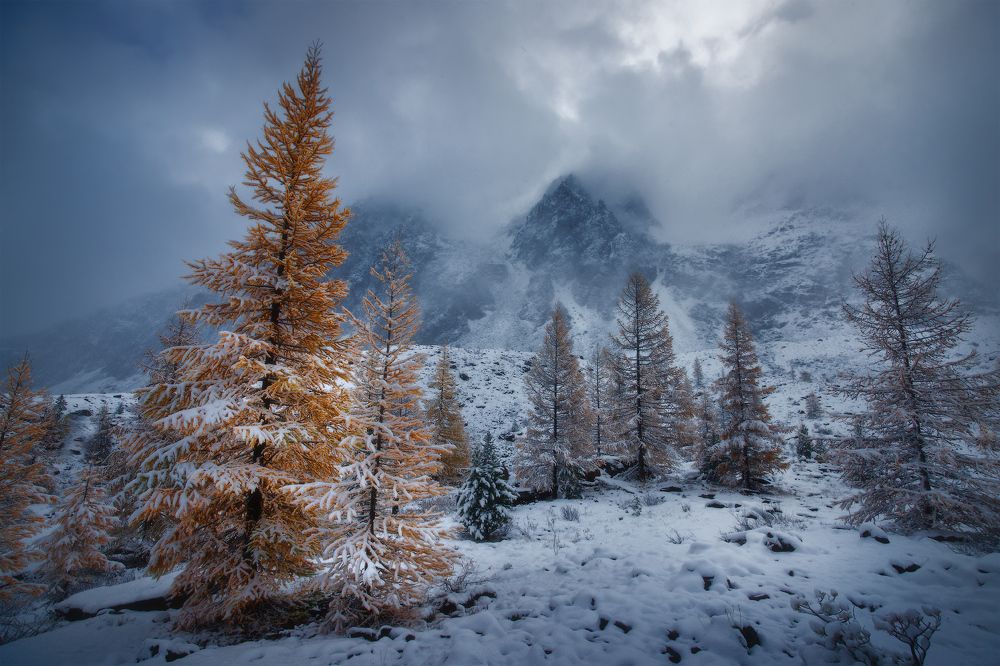 В рыжем одеянии