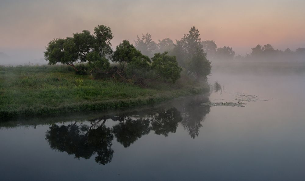 Живой берег