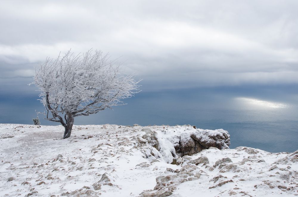 Вот и пришла весна
