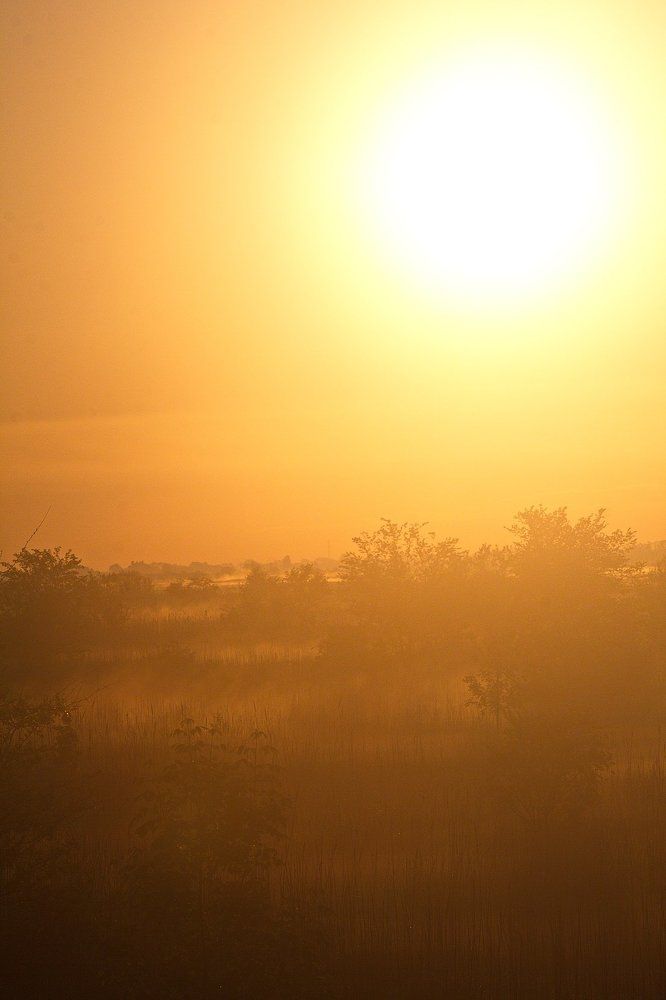 утро туманное