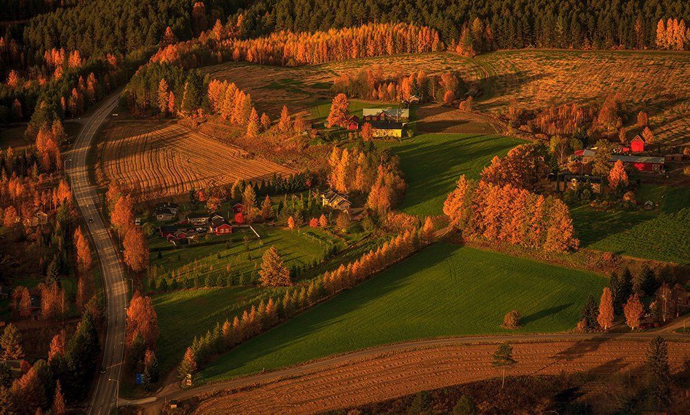 Тихий уголок золотой осени