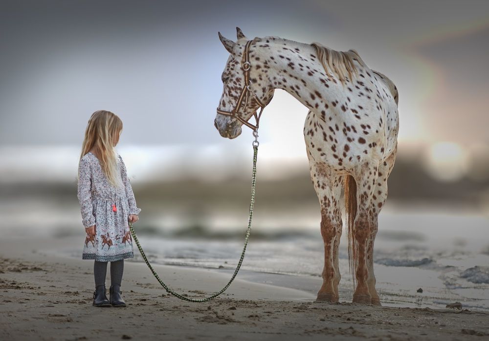 Всматриваясь назад... (Looking back...)