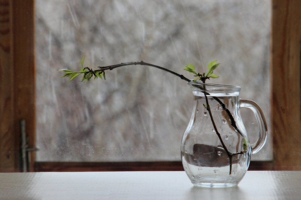 Снег в апреле