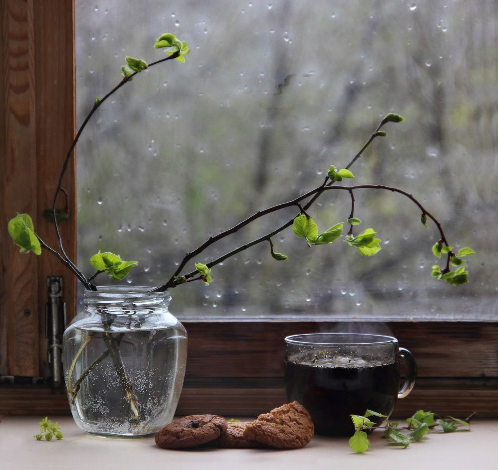 Холодная весна