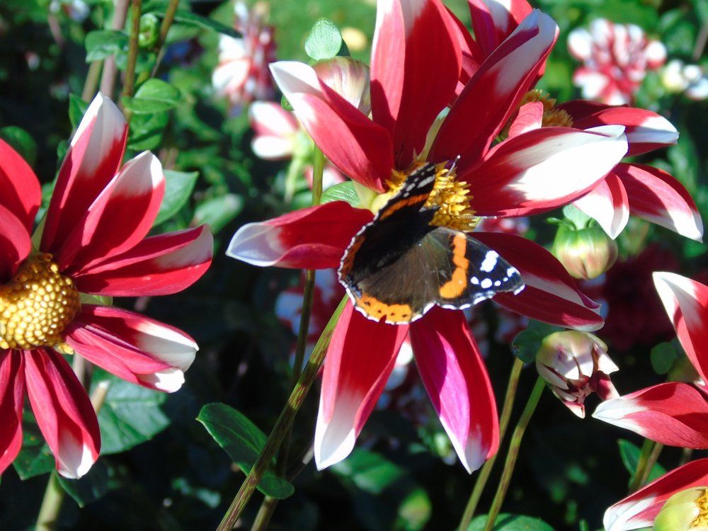 осеннее прощание