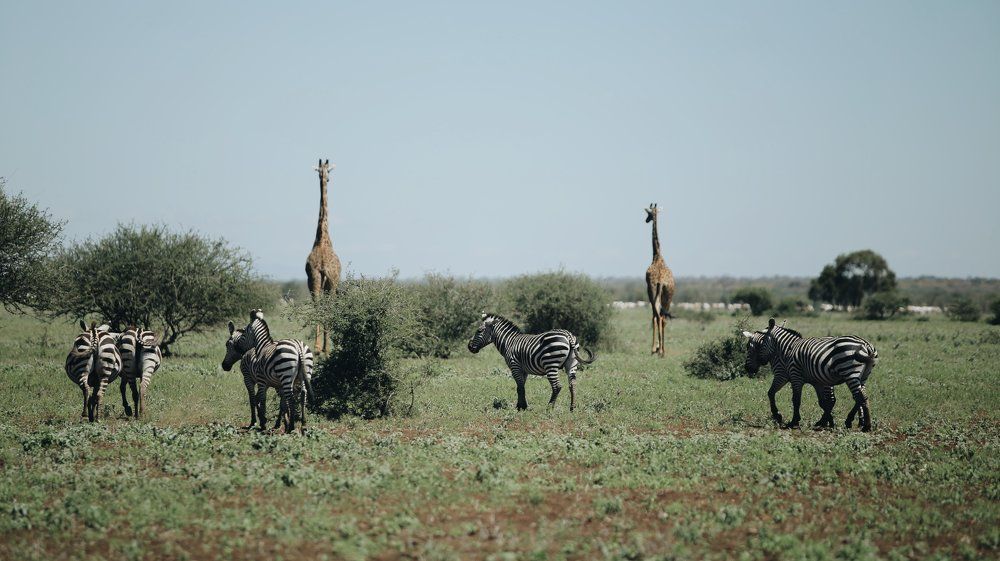 Photograph by Сергей