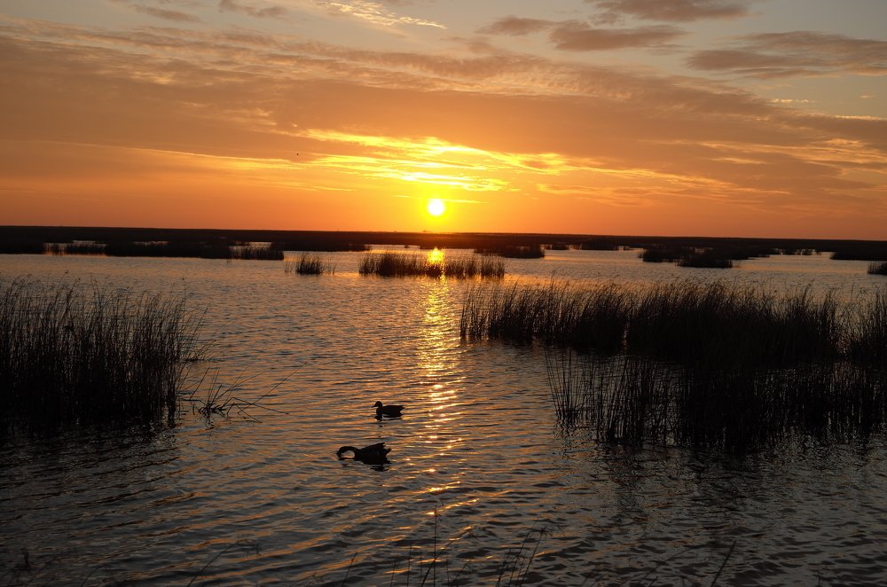 Photograph by Владимир