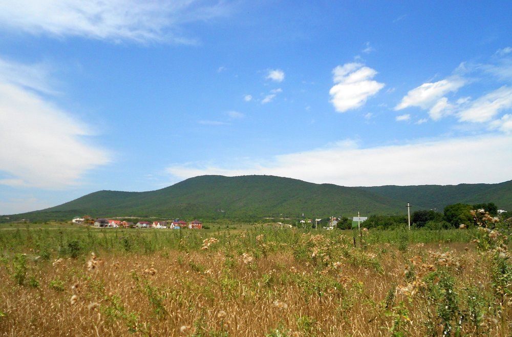 Photo #2230722