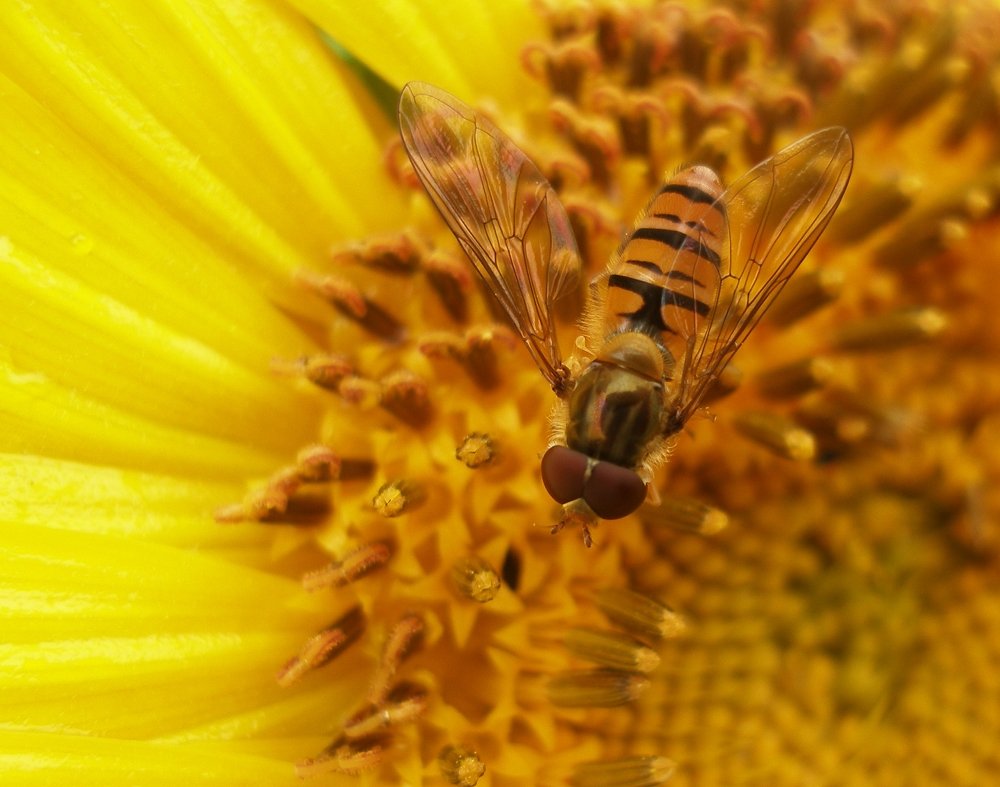 Photograph by Воропаева Юлия