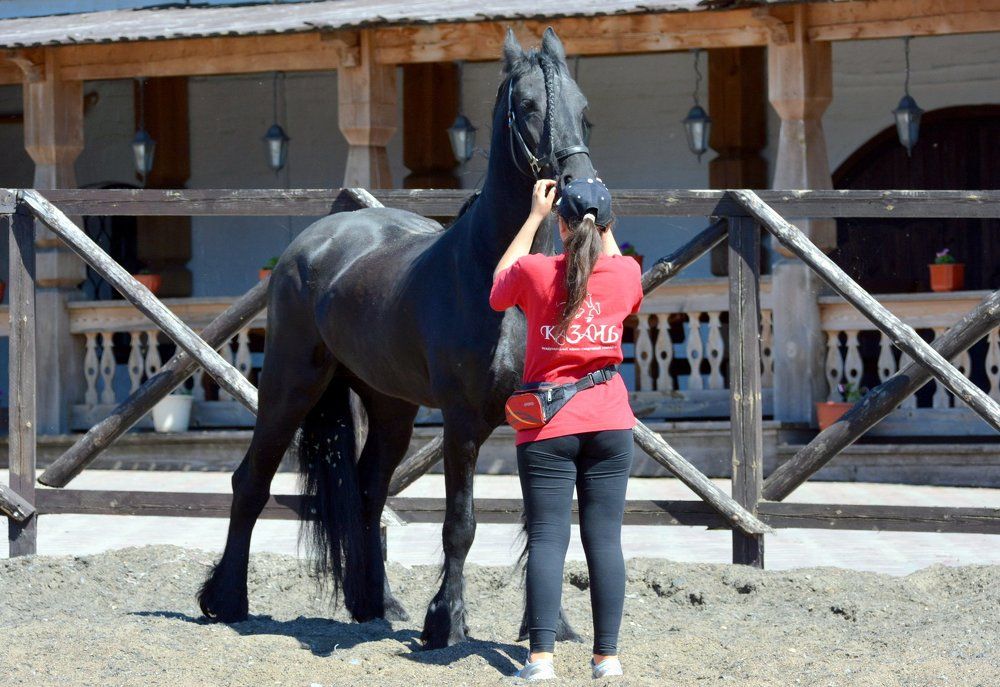 Мы пойдем с конём....