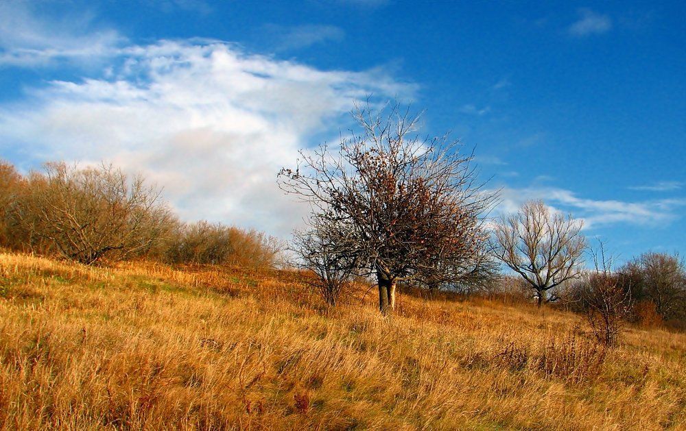 Photograph by Воропаева Юлия
