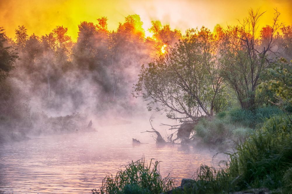 Утро в Синячихе