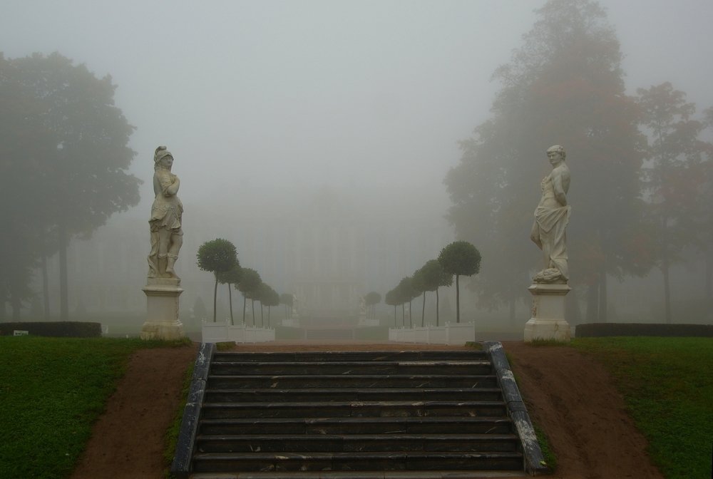 Foggy morning