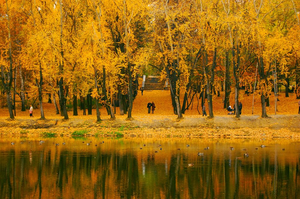 Photograph by Кабаков Артём