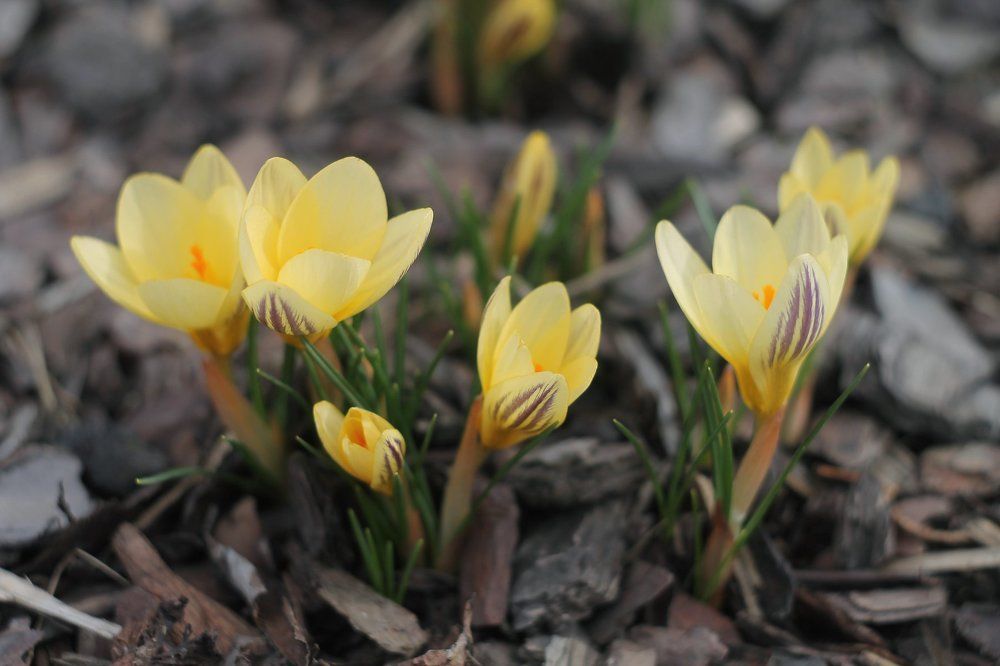 Photograph by Галина