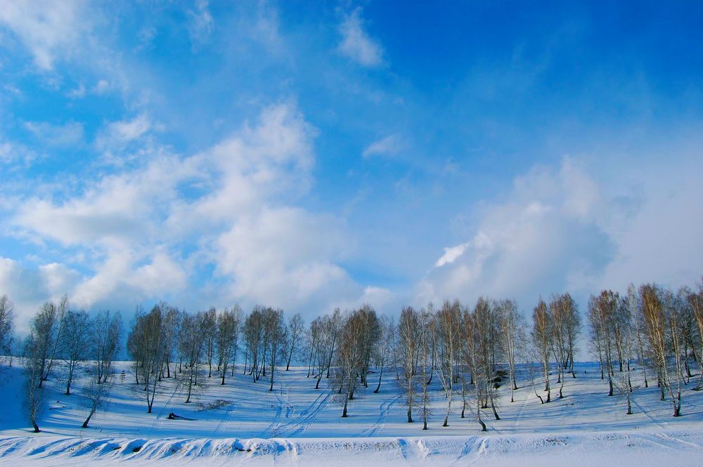 Photograph by Кабаков Артём