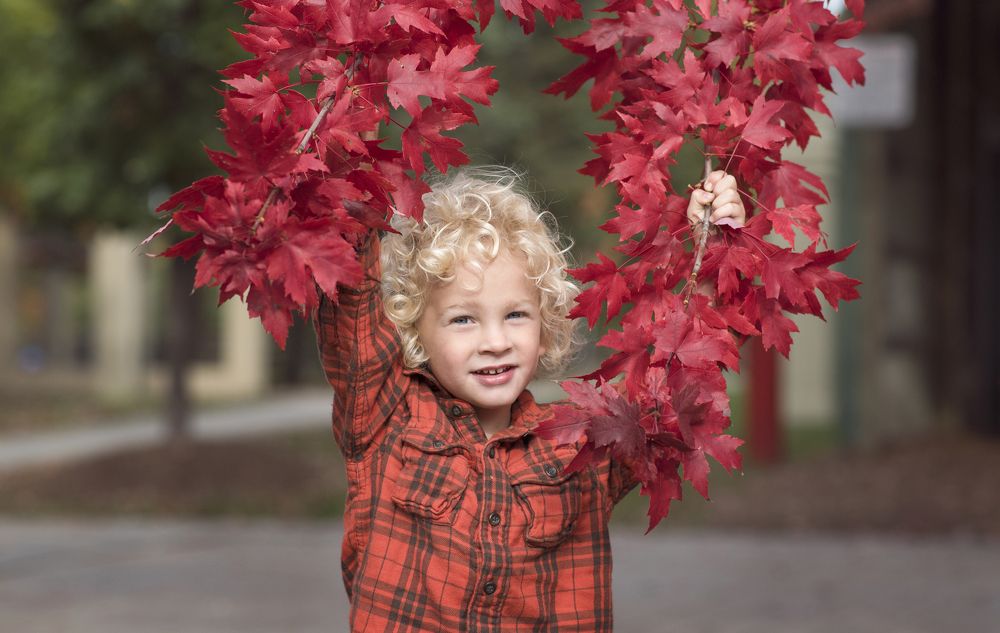 Краски осени