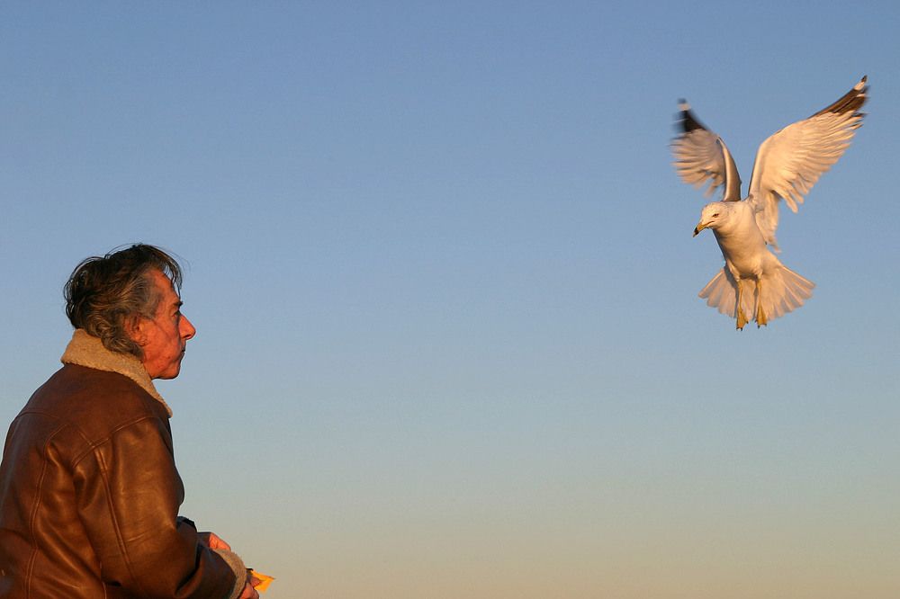 Одинокая душа