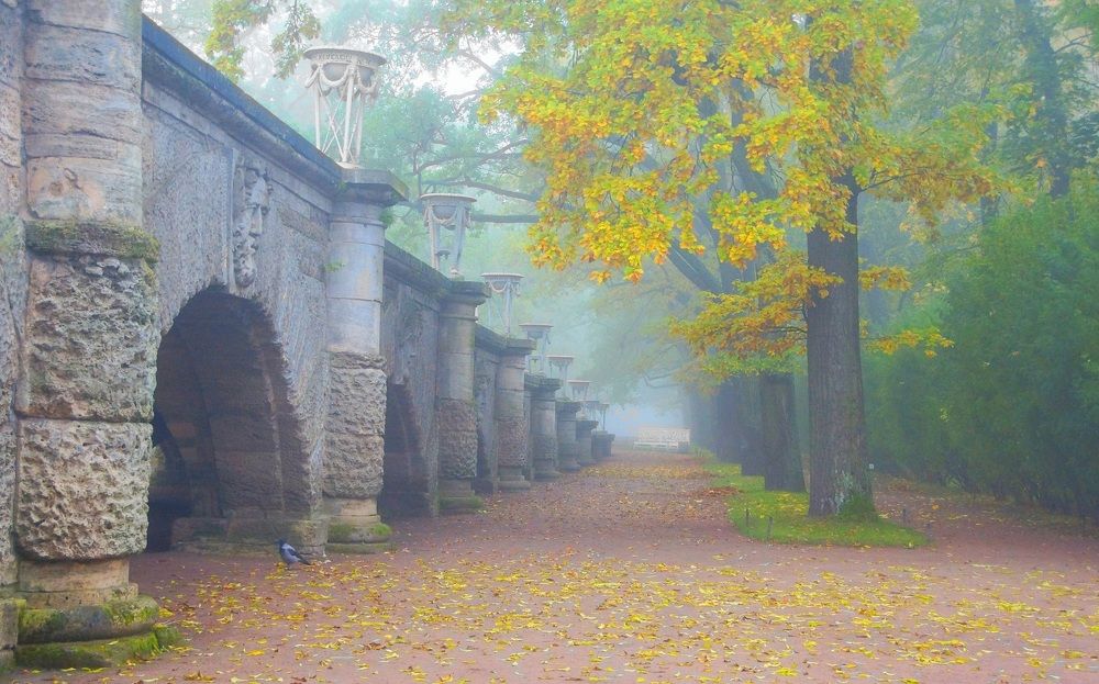 Спокойное утро