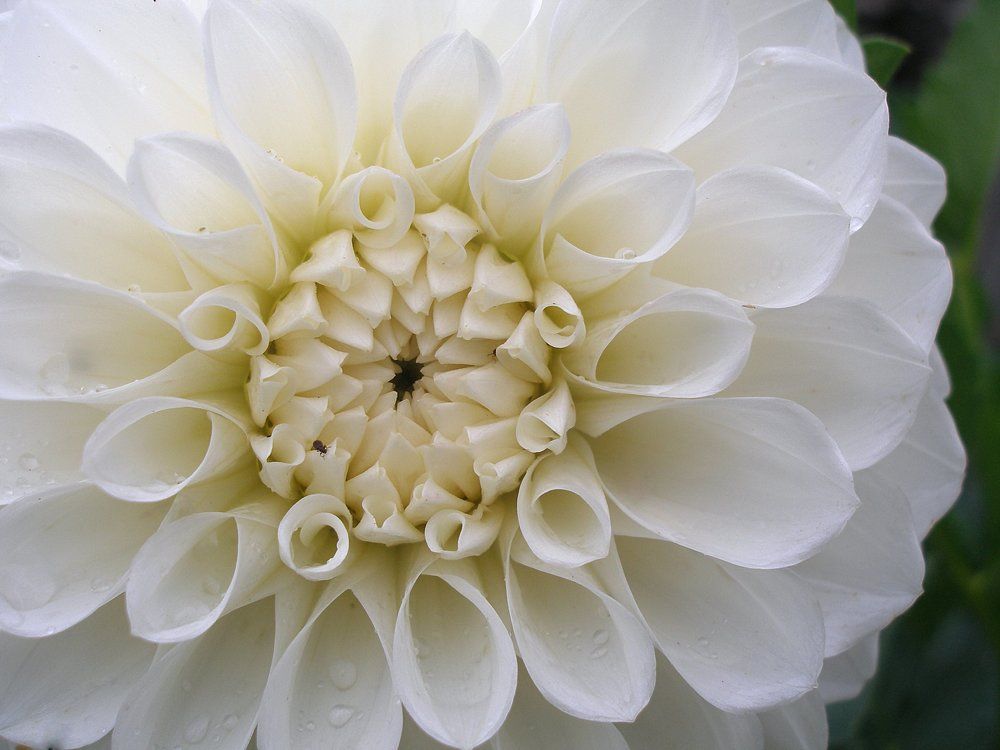 Photograph by Воропаева Юлия