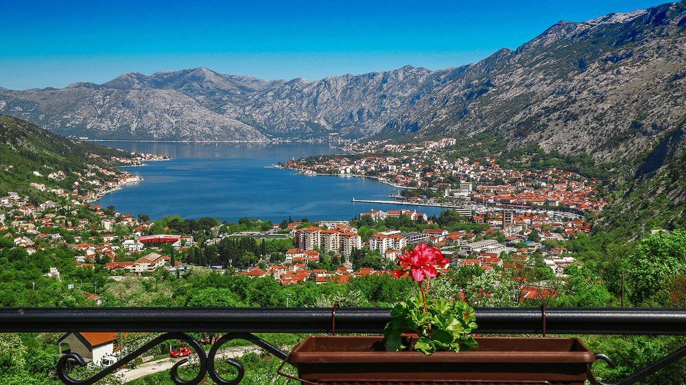 Мира и Процветания!