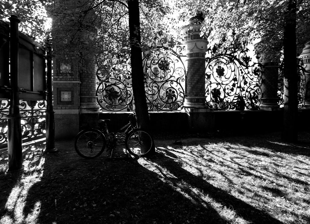 Сияние и велосипед