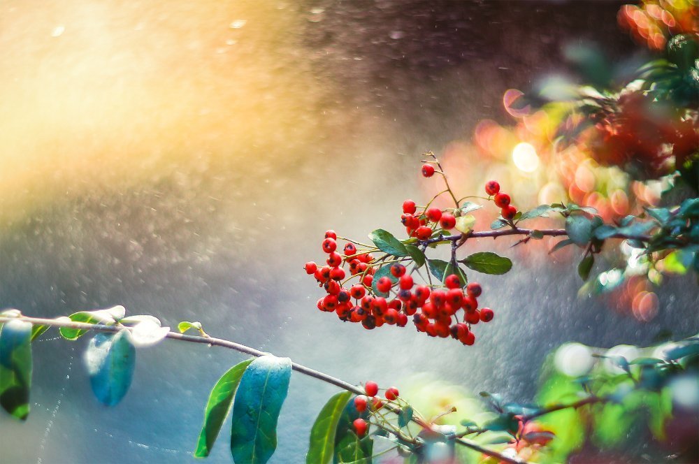 Летние воспоминания