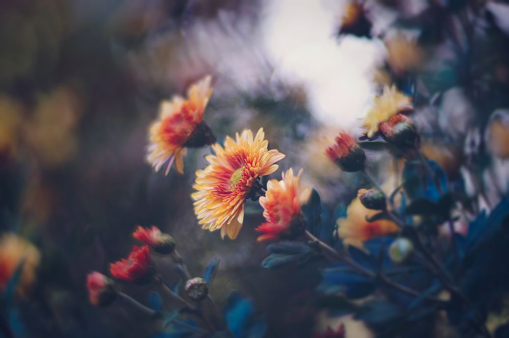 Осенние воспоминания