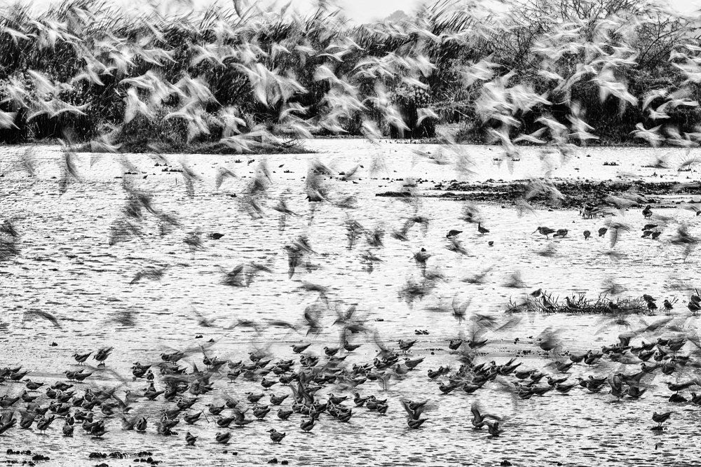 Исчезающая реальность